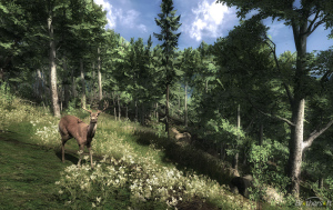 the_hunter-308089-1259656868